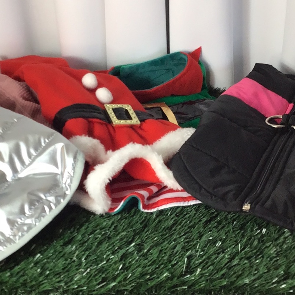 Puppy bundle lot562